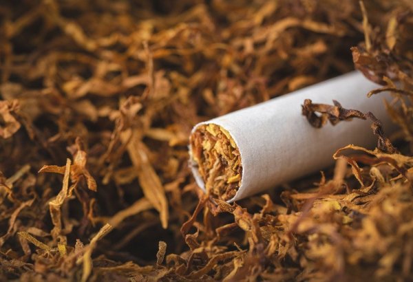 Azərbaycana tütün məmulatının idxalı ilə bağlı yeni şərtlər müəyyən edilir