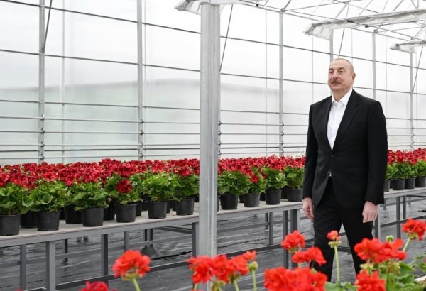 Президент Ильхам Алиев ознакомился со строительством экологического паркового комплекса в Гяндже