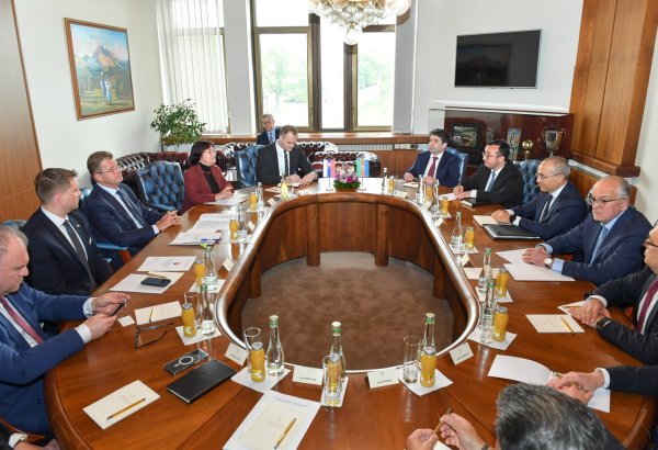 Обсуждены возможности присоединения Словакии к энергетическим проектам с участием Азербайджана