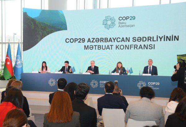 COP29 team formed - president