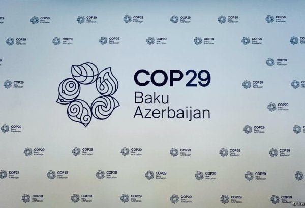 COP28 president discusses importance of cooperation among presidencies