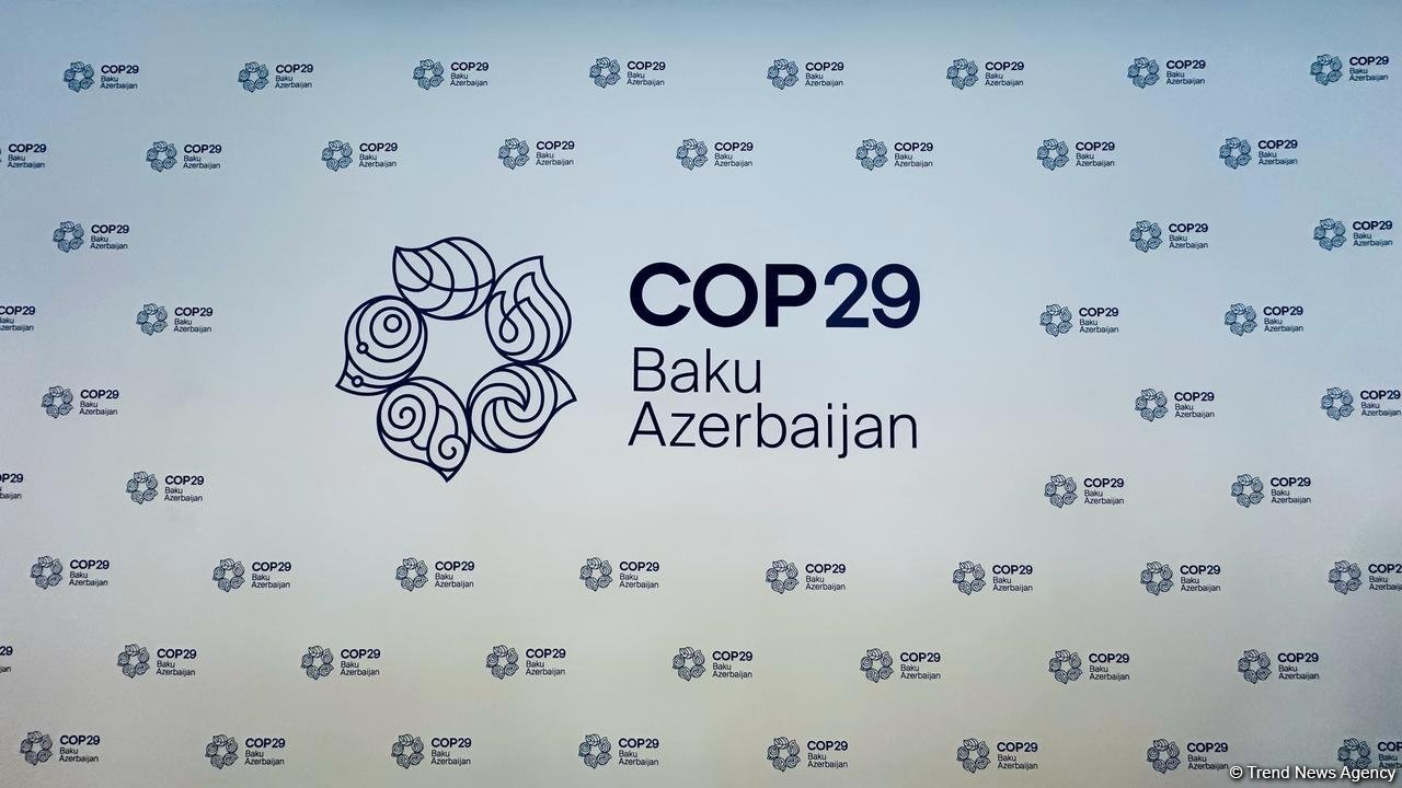 Президент COP28 обсудил на конгрессе в Роттердаме важность сотрудничества "тройки председателей" COP