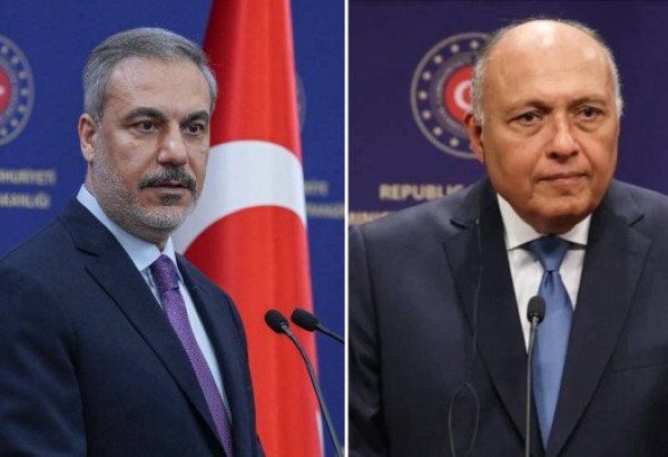 Mısır Dışişleri Bakanı Samih Şükri Türkiye'ye gelecek