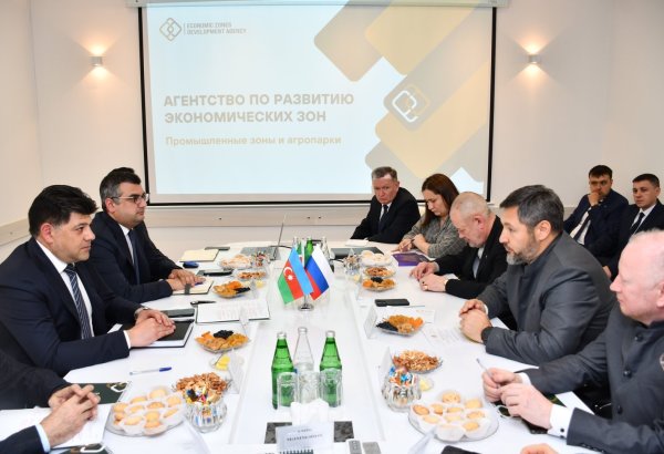 Azerbaijan, Russia's Tatarstan negotiate investment projects in industrial zones