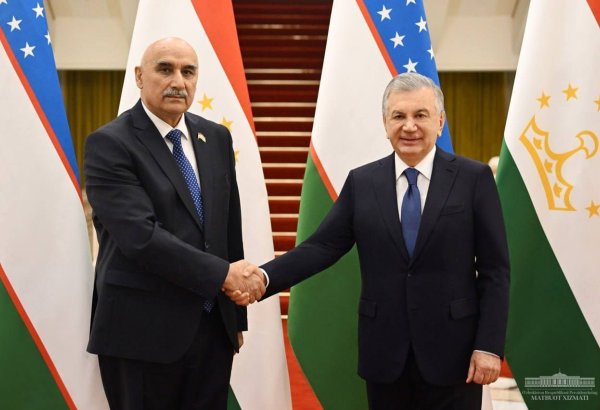 Президент Узбекистана встретился с председателем Палаты представителей парламента Таджикистана