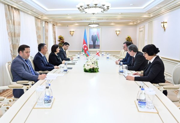 Обсуждено развитие отношений между Азербайджаном и Грузией