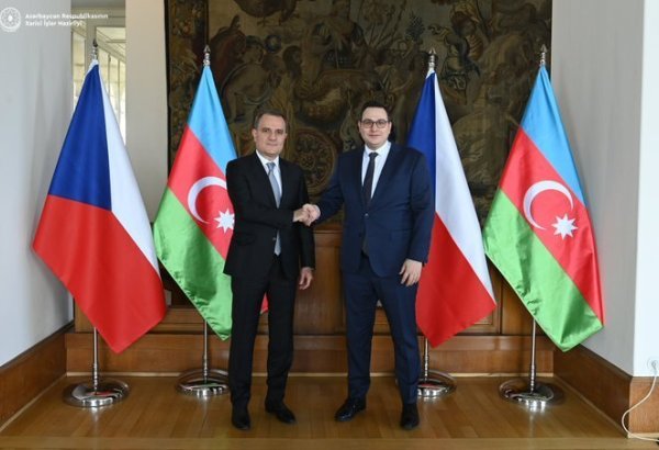 Azerbaijani and Czech FMs hold meeting
