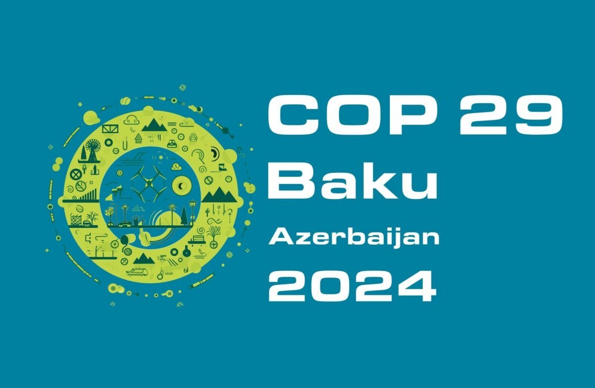 В Азербайджане будут применяться налоговые льготы в связи с COP29