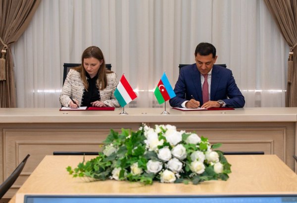 Названы главные темы прошедшего в Баку заседания рабочей группы Азербайджана и Венгрии по энергетике
