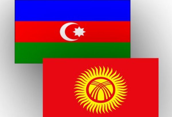 В Баку проходит церемония подписания азербайджано-кыргызских документов