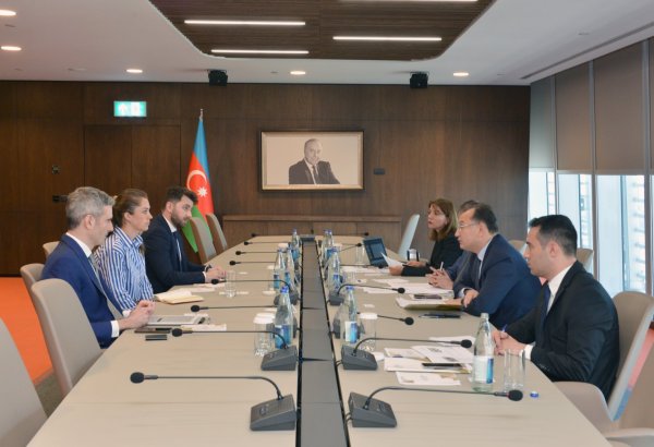 Azerbaijani economy ministry and UK export finance moot possible areas of cooperation