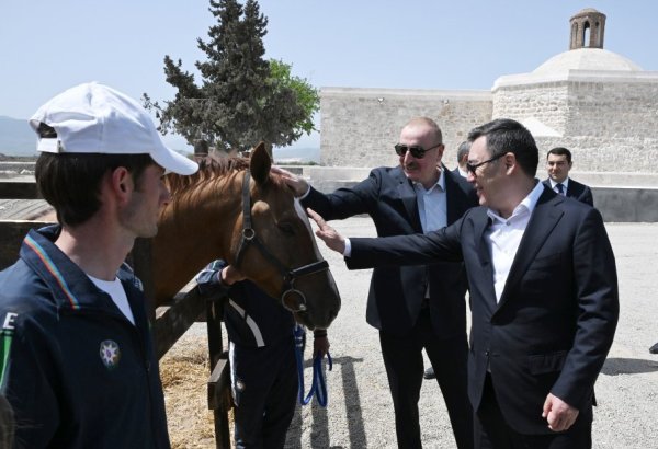 Президент Ильхам Алиев подарил Президенту Садыру Жапарову карабахского скакуна