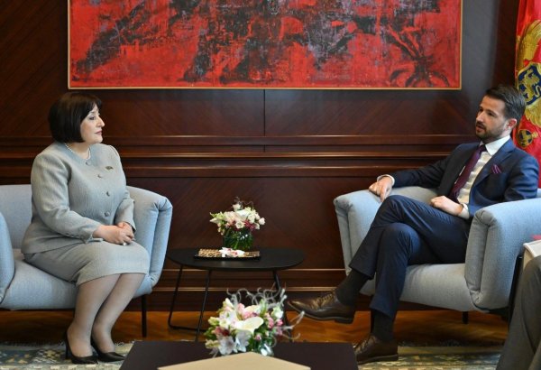 Sahibə Qafarova Monteneqro Prezidenti Yakov Milatoviç ilə görüşüb
