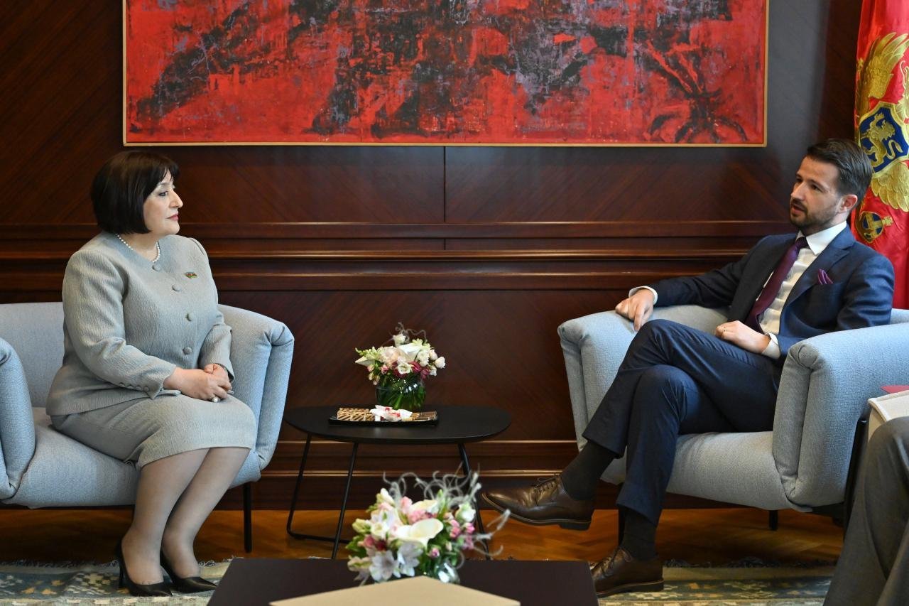 Sahibə Qafarova Monteneqro Prezidenti Yakov Milatoviç ilə görüşüb
