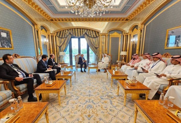 Azerbaijani, Saudi Arabian energy ministers discuss economic development goals