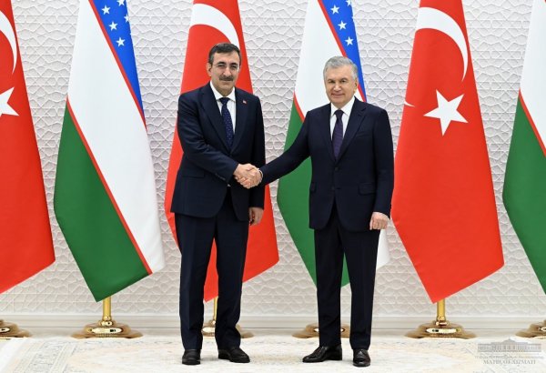 Uzbekistan, Türkiye discuss implementation of investment projects in various spheres