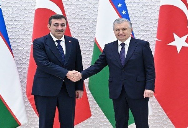 Özbekistan Cumhurbaşkanı Mirziyoyev, Cumhurbaşkanı Yardımcısı Yılmaz'ı kabul etti