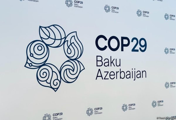 UN sets up special working group to support Azerbaijan in COP29 process