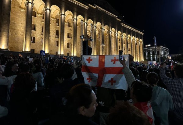 В Грузии полиция применила резиновые пули против митингующих у здания парламента