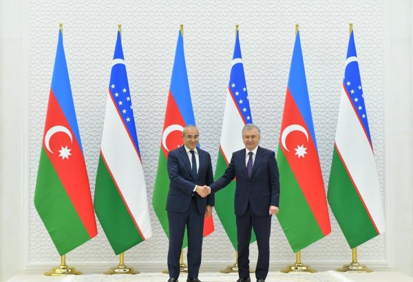 Özbəkistan prezidenti Azərbaycan nümayəndə heyətini qəbul edib