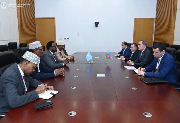 Глава МИД Азербайджана встретился с вице-премьер-министром Сомали