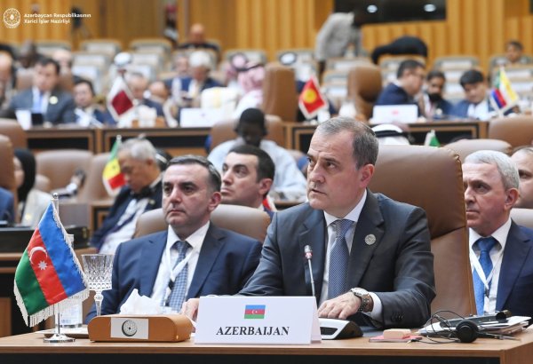 Azerbaijani FM addresses 15th OIC Summit