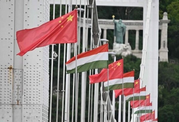 Çin prezidenti Macarıstanın baş naziri ilə görüşüb